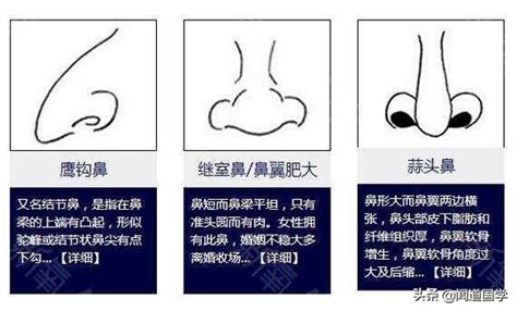 鷹鉤鼻面相|面相學之鼻型解析、全面解讀鼻子與命運